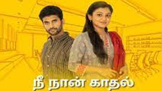 13-03-2024 Nee Naan Kaadhal-Vijay tv Serial