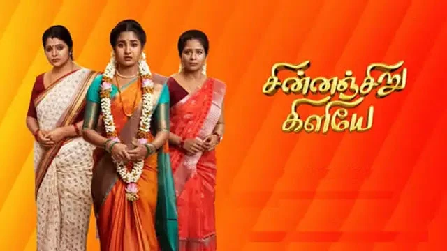 Chinnan Siru Kiliye Episode 323 Zee Tamil TV Source 02